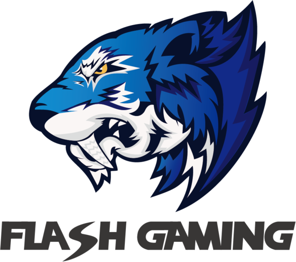 Flash Gaming