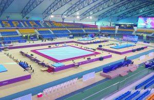 Taishan Artistic Gymnastics