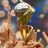 World Cup Prize Money for Women Players