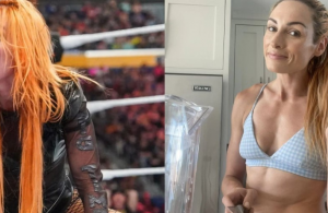 Becky Lynch's WWE